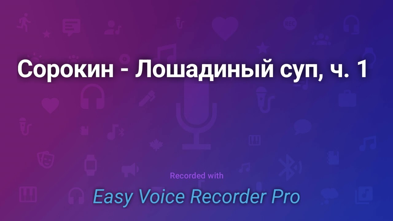 Сорокин   Лошадиный суп, ч  1