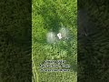 Agricultural Drone Sprayer Save Time & Cost