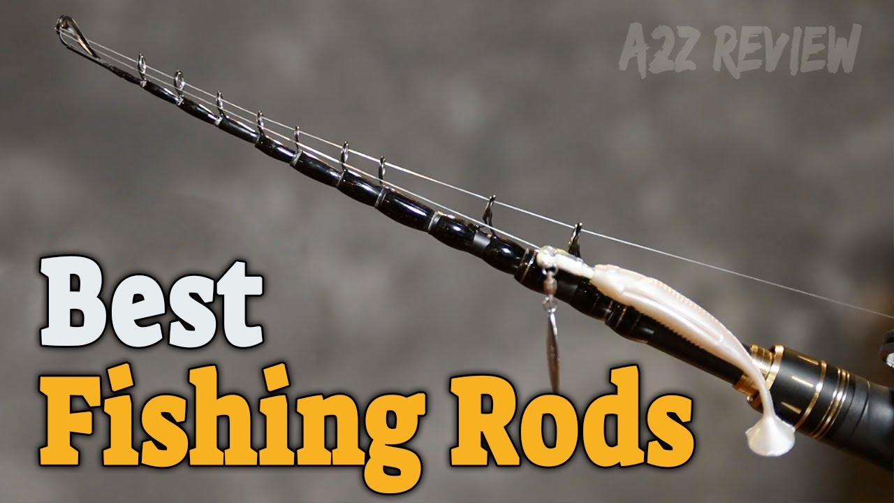 Best Fishing Rods 2021 - Top 5 Fishing Rod Picks FOR EVERYONE! 