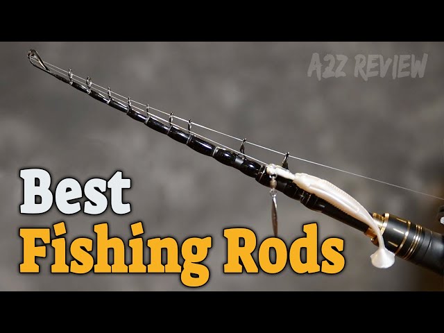 Best Fishing Rods 2021 - Top 5 Fishing Rod Picks FOR EVERYONE! 