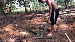 beautiful bonsai tree making