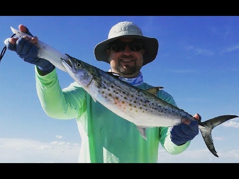 How to catch Spanish Mackerel - Where, how, and best lures for mackerel 