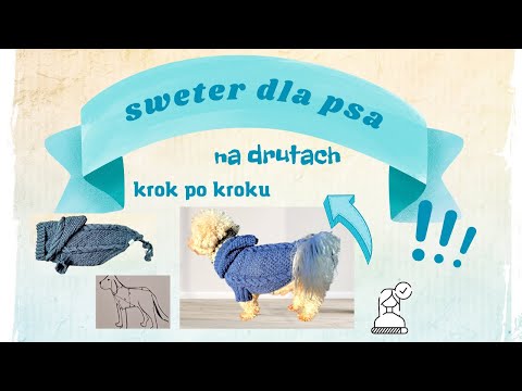 Wideo: Jak Zrobić Na Drutach Sweterek Dla Psa