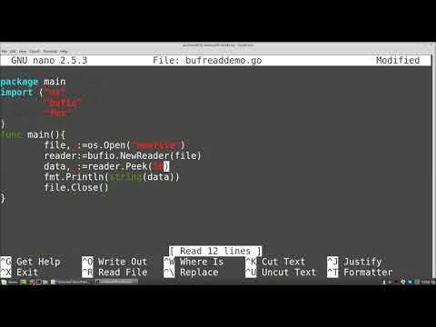 Go (golang) Tutorials - Buffered File I/O