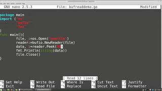 Famous Go (golang) Tutorials - Buffered File I/O Profile