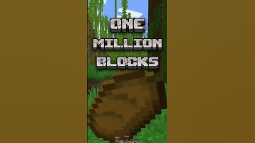 Walking 1 block in minecraft for each follower until 1 million blocks Day 21 #minecraft #gaming