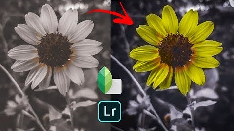 How to add colour gradient in flower||snapseed tutorial