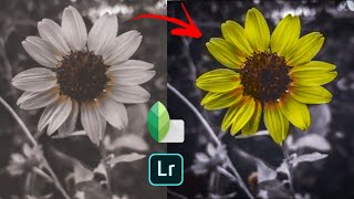 How to add colour gradient in flower||snapseed tutorial screenshot 5