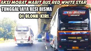 UNITNYA MAKIN MANTAB‼️TUNGGAL JAYA RESI BISMA BERTEMU BUS RED WHITE STAR LARI BAR-BAR