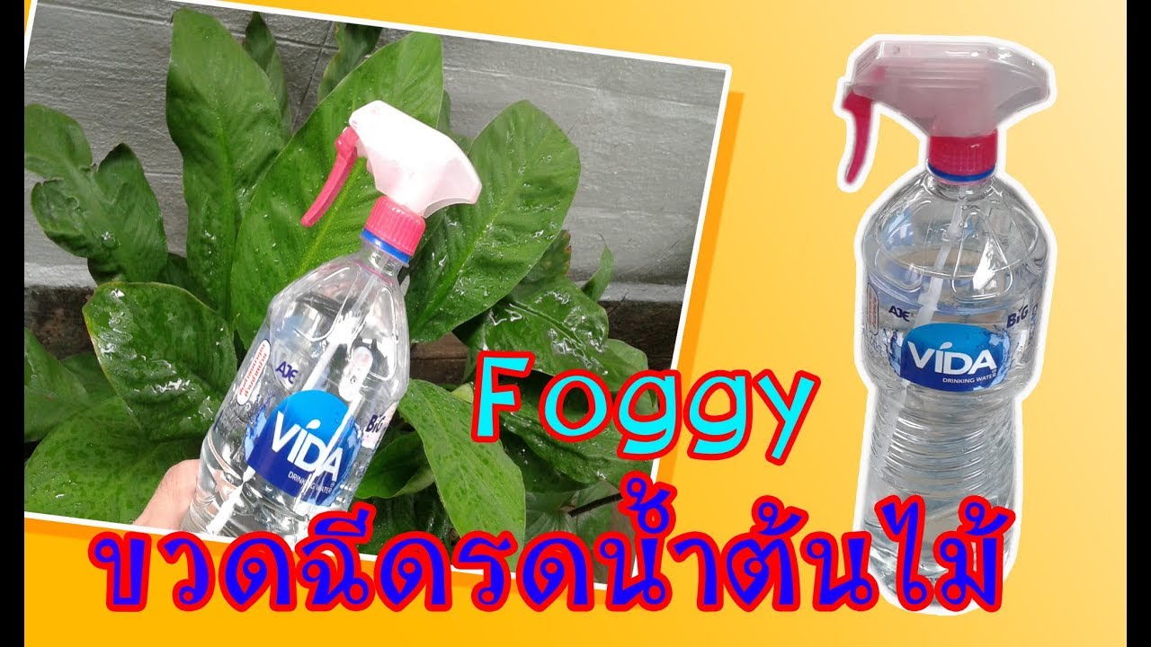 diy fogyni