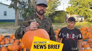 Picking the perfect pumpkin