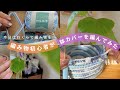 今日はねぐらで編み物を…🧶編み物初心者🔰が作る鉢カバー（後編）