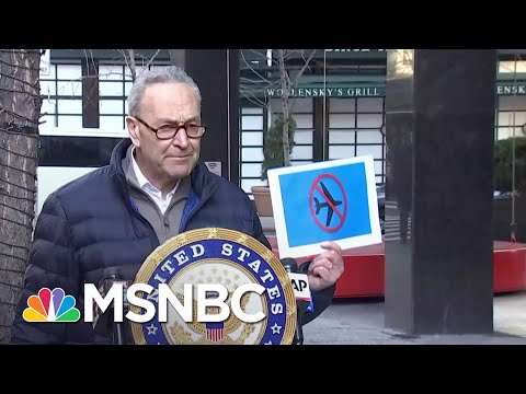 Schumer Calls For Capitol Rioters To Be Added To The 'No-Fly' List | MSNBC