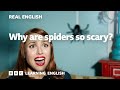 Real English: Why are spiders so scary?