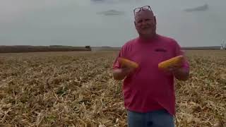 Awesome Agriculture: Corn
