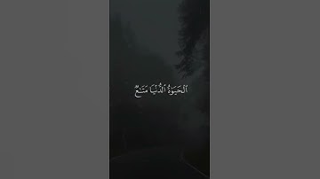 ملخص الدنيا  ..الآية 39 من سورة غافر.