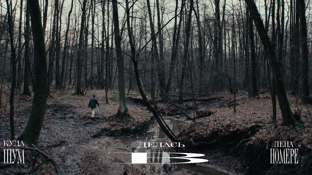 шум в номере–куда делась лена?