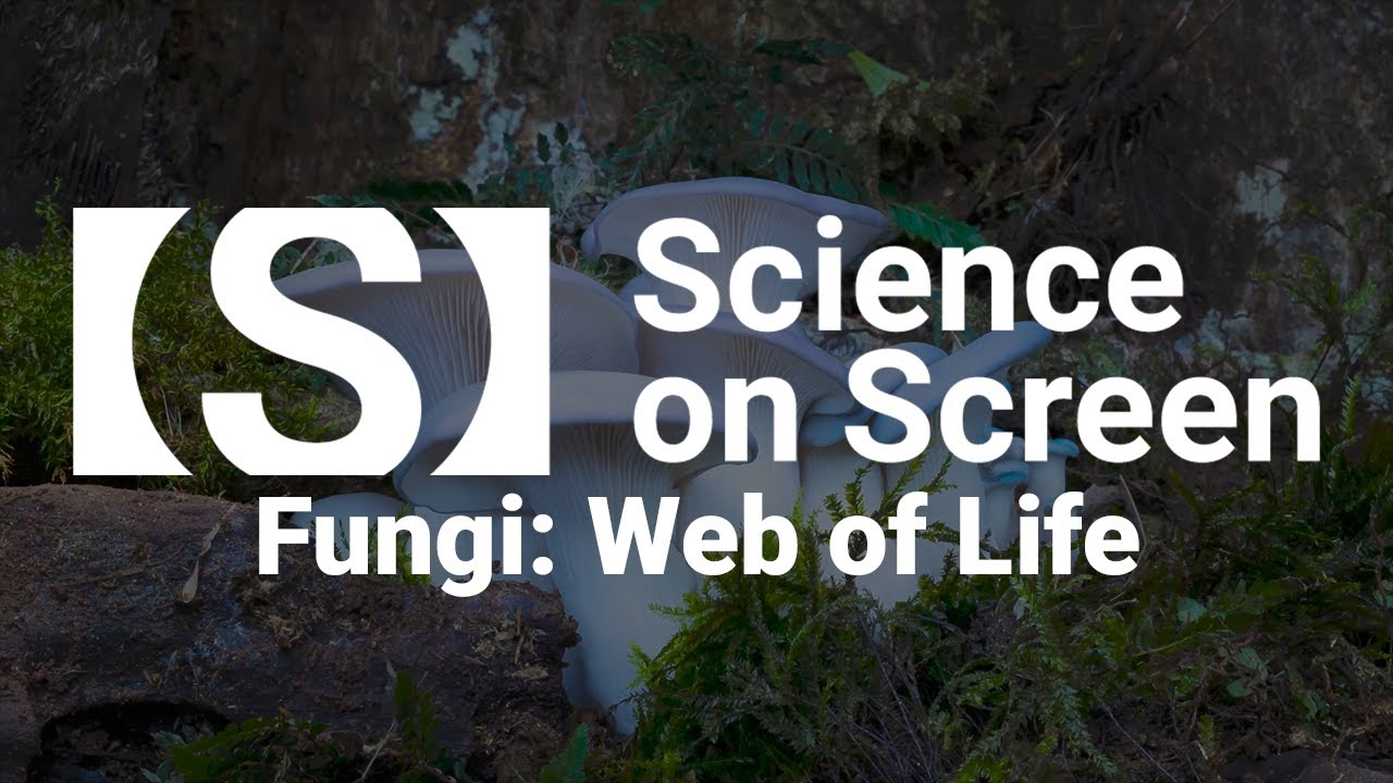 Cool Mushrooms Grow in Iowa Too, Silly: Iowa’s Fungal Biodiversity: FUNGI WEB OF LIFE