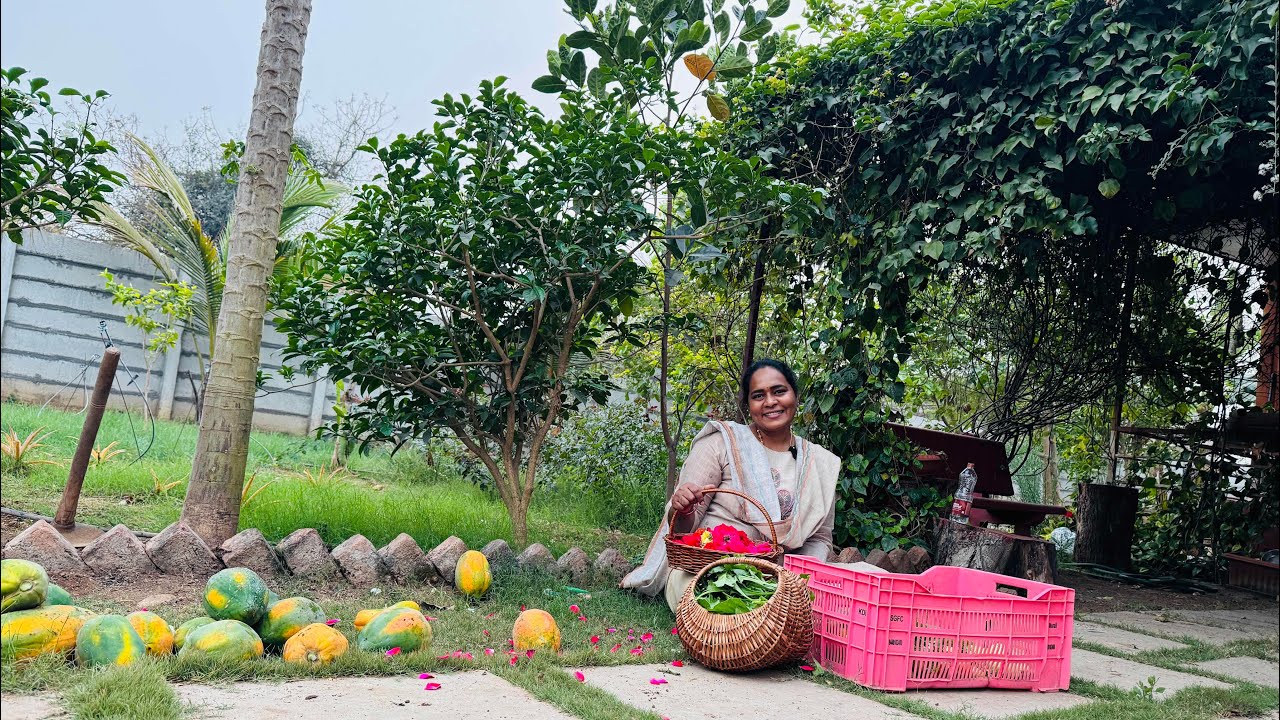ఫార్మ్ లో మడులు చేసుకుని కూరగాయల నారు సీడ్స్ వేసుకున్నాము …..
