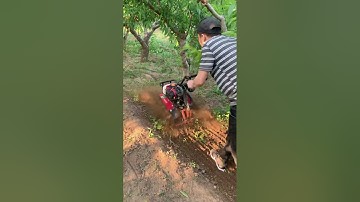 Mini Tiller Machine in Action | Powerful Farming Tool for Easy Soil Preparation part 1009