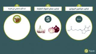 دقائق زراعية- الحلقة 8- أهمية الكبريت- FERTAN INTERNATIONAL