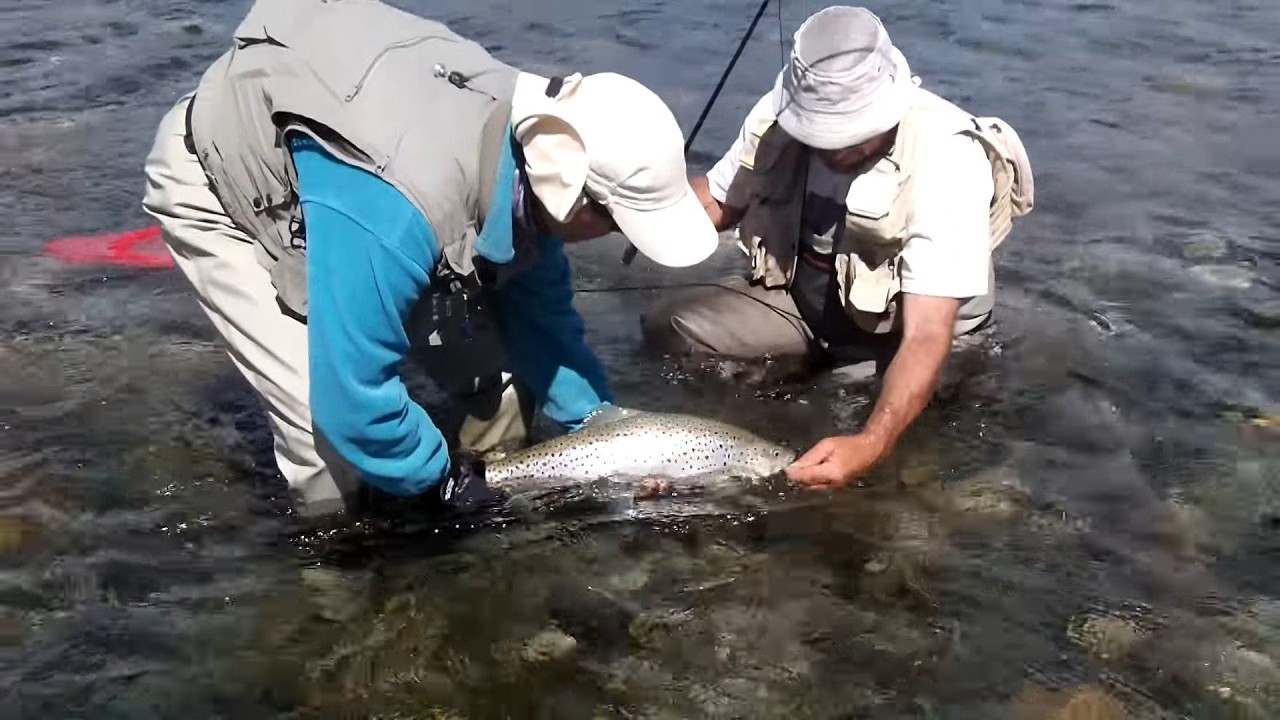 PESCA EXTREMA EN EL RÍO LIMAY