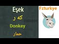 فيربونا زماني توركي باديني گيانه وه ر تعلم اللغة التركية حيوانات Ferbuni Zmani Turki 