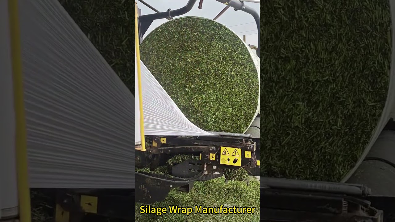 #silagefilm