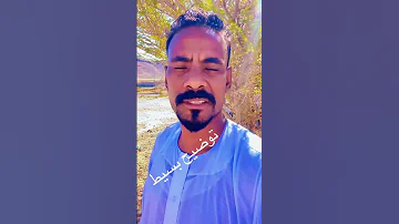 العازف احمد الصديق ينفي زواجه بالفنانة شهد ازهري By منوعات سودانية Facebook 