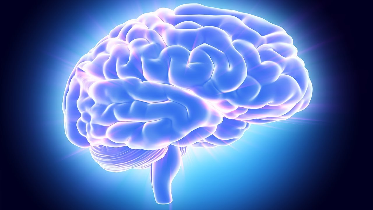 Instrumental Music for Studying and Concentration, Binaural Beats, Study, Meditation Music, ☯3298 relax music bgm channel