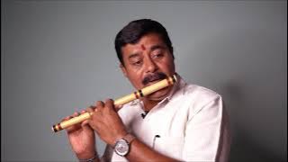 Raja Raja Cholan Naan(Short)|| Flute Cover||S.Ramakrishnan||Flute Waves ||IlayaRaja||Mob:9894712178