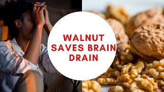 Walnut Saves Brain Drain