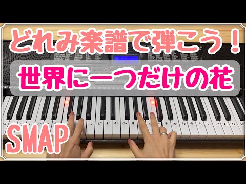 世界に一つだけの花【簡単ピアノ】SMAP どれみガイドつき