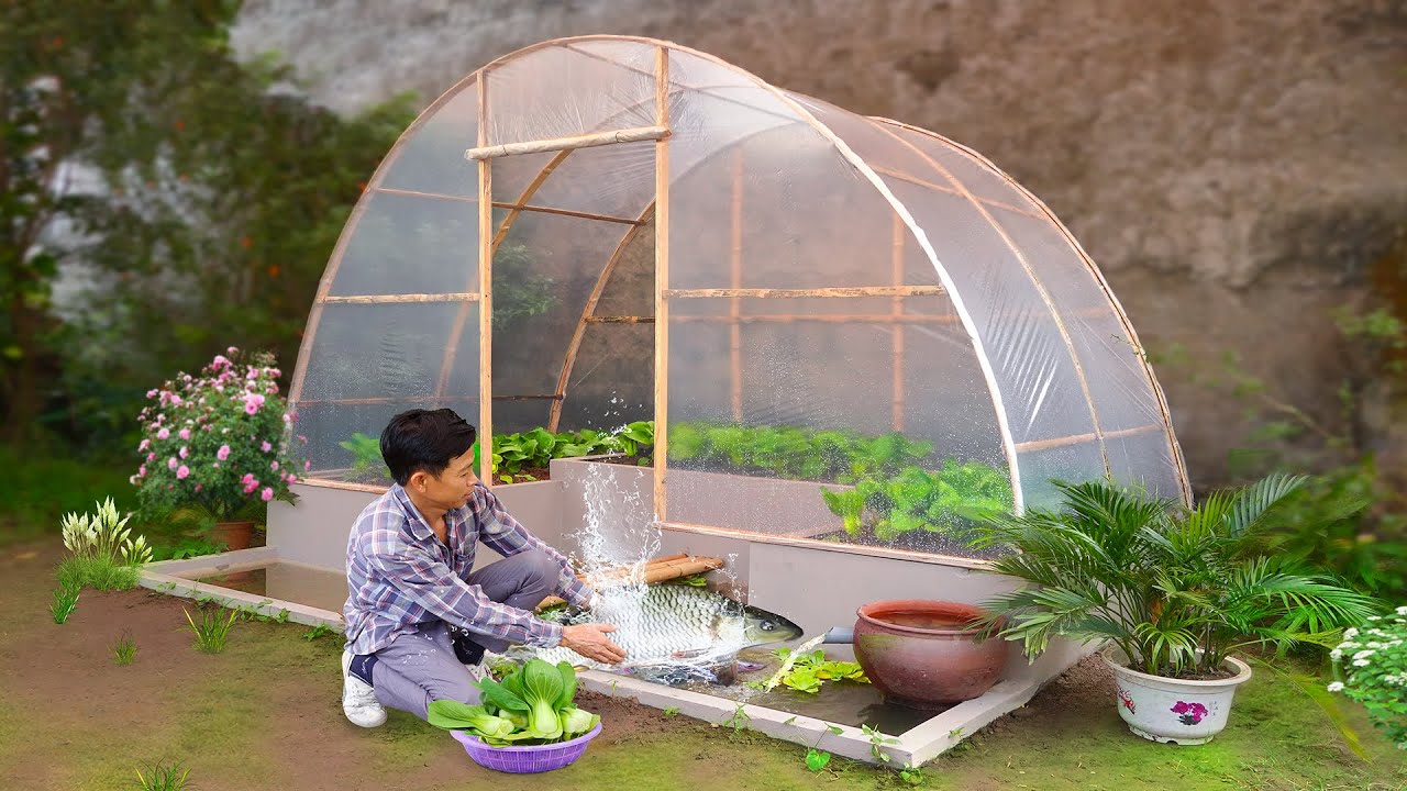 DIY lowcost greenhouse and aquarium for your home Organic vegetables