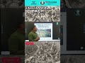 Jallianwala Bagh Massacre: Tragic Turning Point of India's Independence Movement #jallianwalabagh