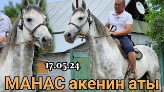 Манас акенин чоң аты КӨК ТУлпары