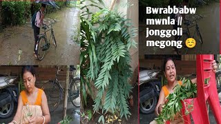 Jonggoli megong jalabaibai angha 😃🌿🌿🌿//bwrabbabw mwnla 😏