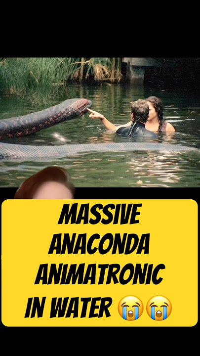 Anaconda Snake Animatronic #animatronics #submechanophobia #snake #snakes #horrorshorts