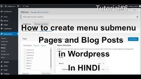 How to create menu, submenu, Page and Blog Post in Wordpress(Hindi).