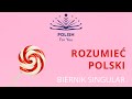 ACCUSATIVE SINGULAR - UNDERSTAND POLISH! All about Polish grammar!