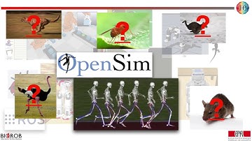 Video Presentation : Introduction to Locomotion