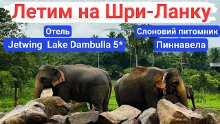 Летим на Шри-Ланку. Отель Jetwing Lake Dambulla 5*. Слоновий питомник Пиннавела