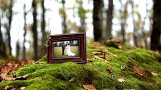 Новый фотофильм Дубовый лес для ваших фото Новый фотофильм Дубовый лес для ваших фото