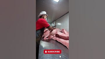 Fast & Precise! Butcher’s Knife Skills in Action 👀🐷 #SatisfyingCuts  #meat #meatprocessing #shorts