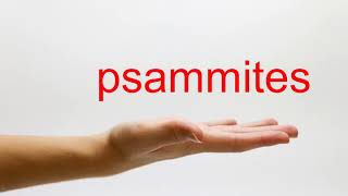 How to Pronounce psammites - American English