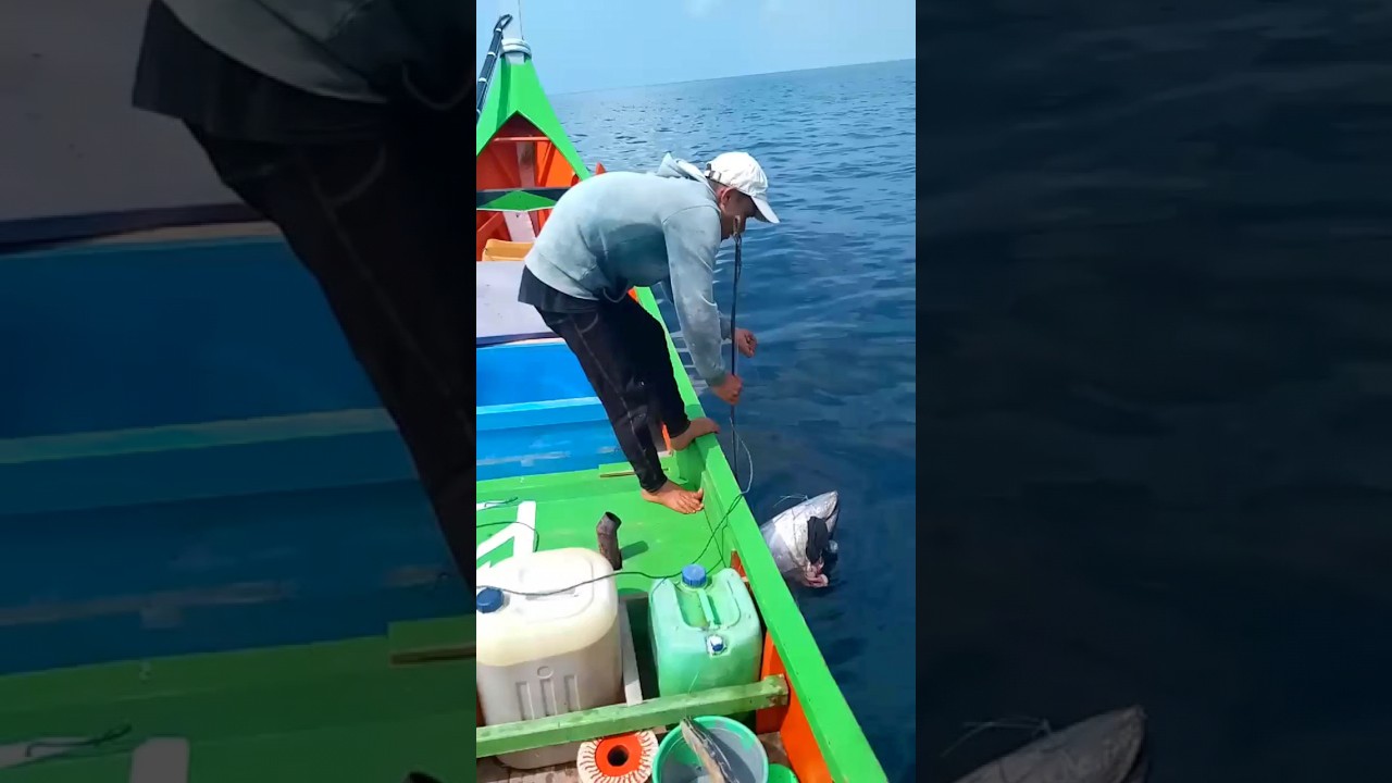 best deep sea big tuna fishing