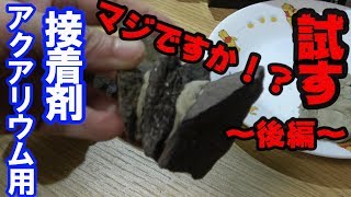 【アクアリウム】アクアリウム用接着剤を試す！！～後編～