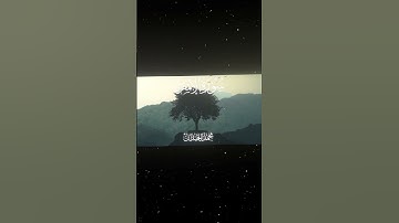 سورة الإسراء|85-88|القارئ:#محمد_اللحيدان #ذقران #quran  #قران_كريم #تلاوة #تلاوة_هادئة #تلاوة_خاشعة