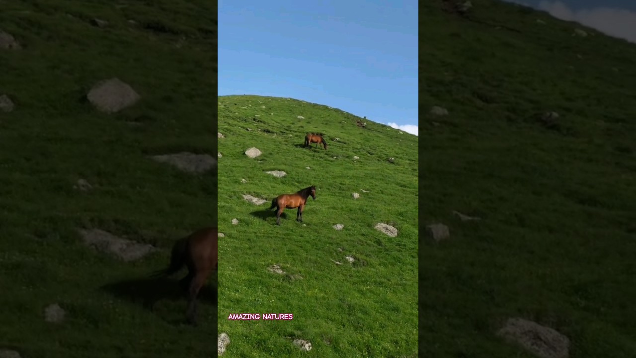 CAUCASUS 🐎 Places on earth that feels unreal | el condor pasa _Leo Rojas 