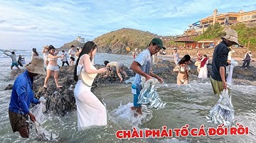 Các Chú Chài Cá May Mắn - Vội chài Gấp Tổ Cá Đối Tại Bãi Tắm Đẹp Nhất Vũng Tàu